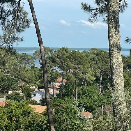 Belle Vue - Carreyre, Lacanau
